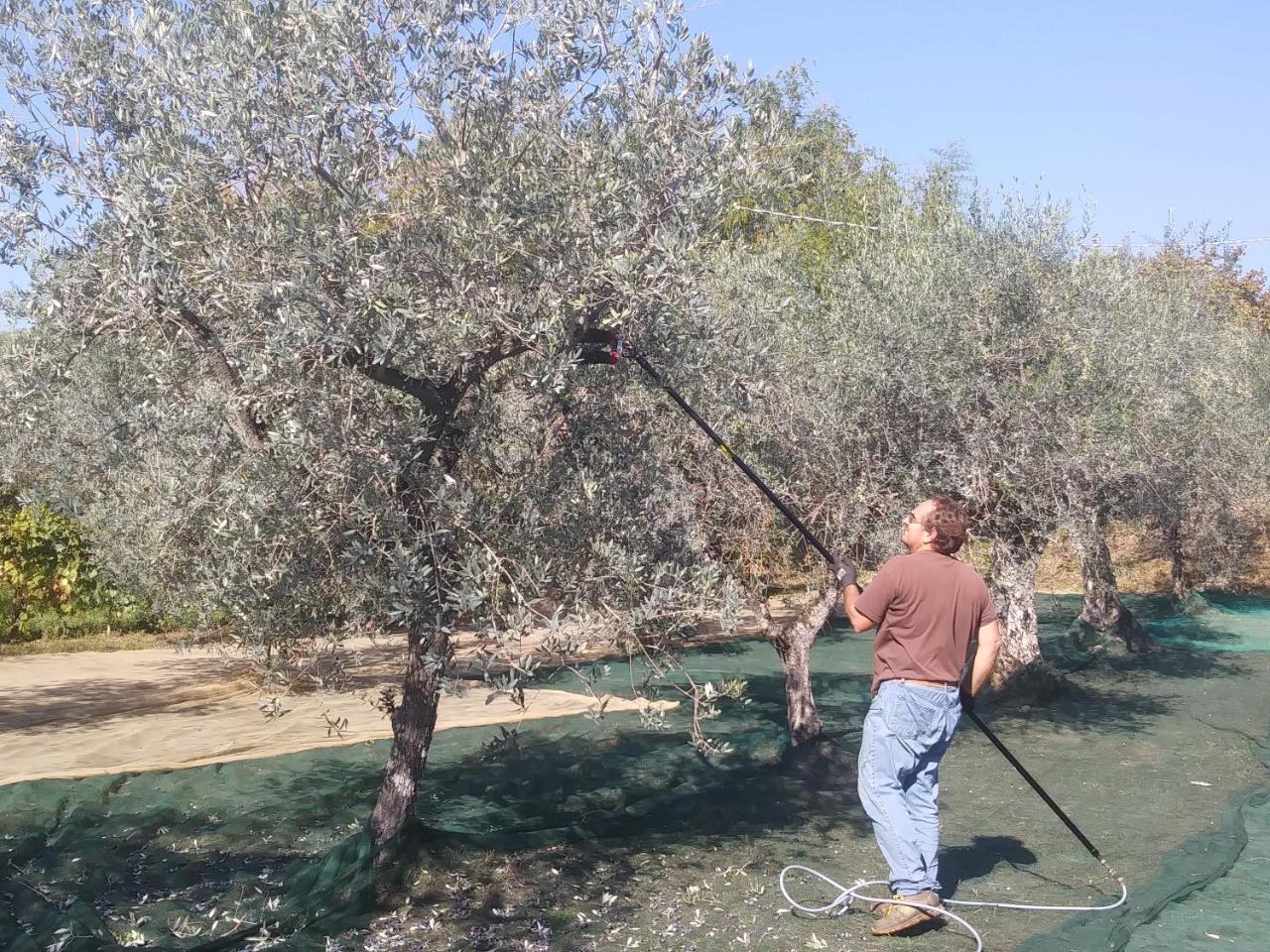 הוילה קאפאנורי Ai Bastiani מראה חיצוני תמונה